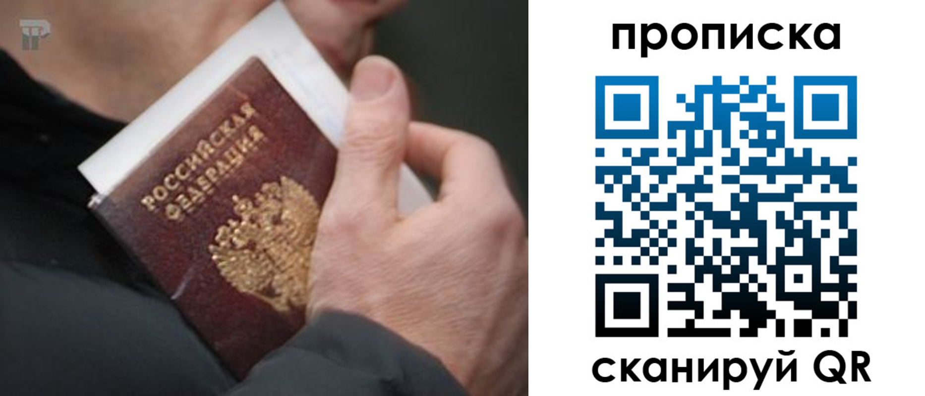 временная регистрация гарантия в Благовещенске